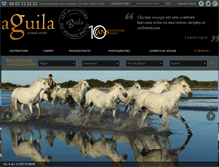 Tablet Screenshot of aguila-voyages.com
